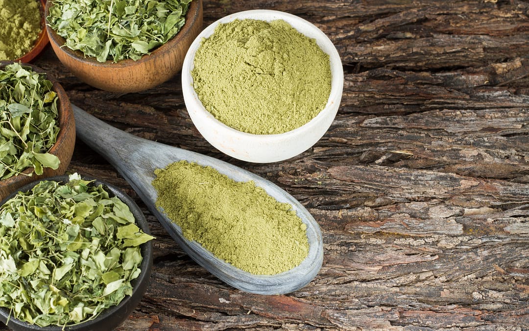 Health Benefits of Moringa Oleifera