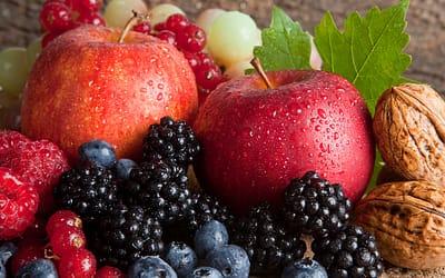 The Benefits of Quercetin