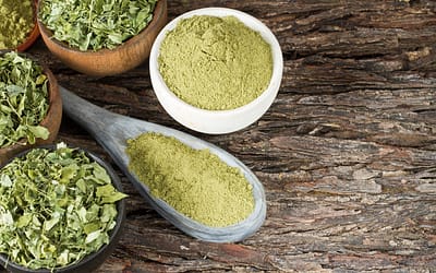 Health Benefits of Moringa Oleifera