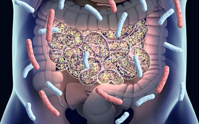 5 Best Probiotics for Weight Loss and Why You Need Them